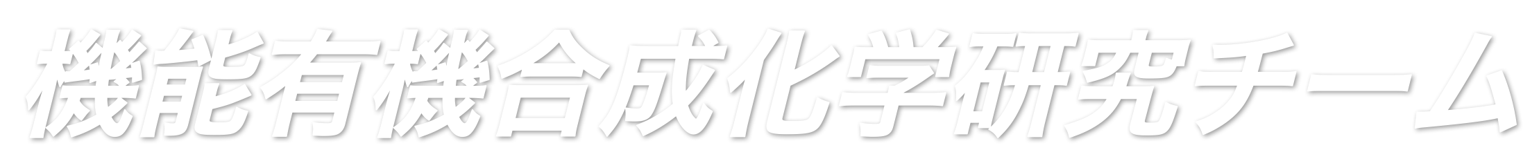 機能有機合成化学研究チーム