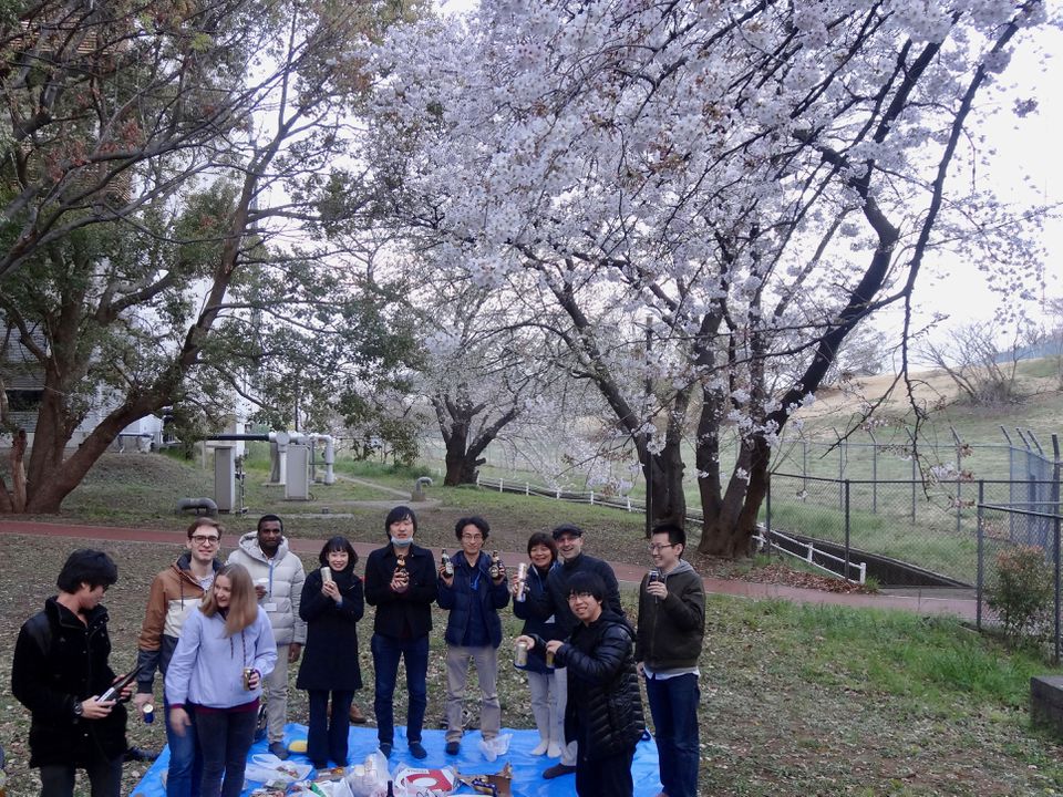 hanami party